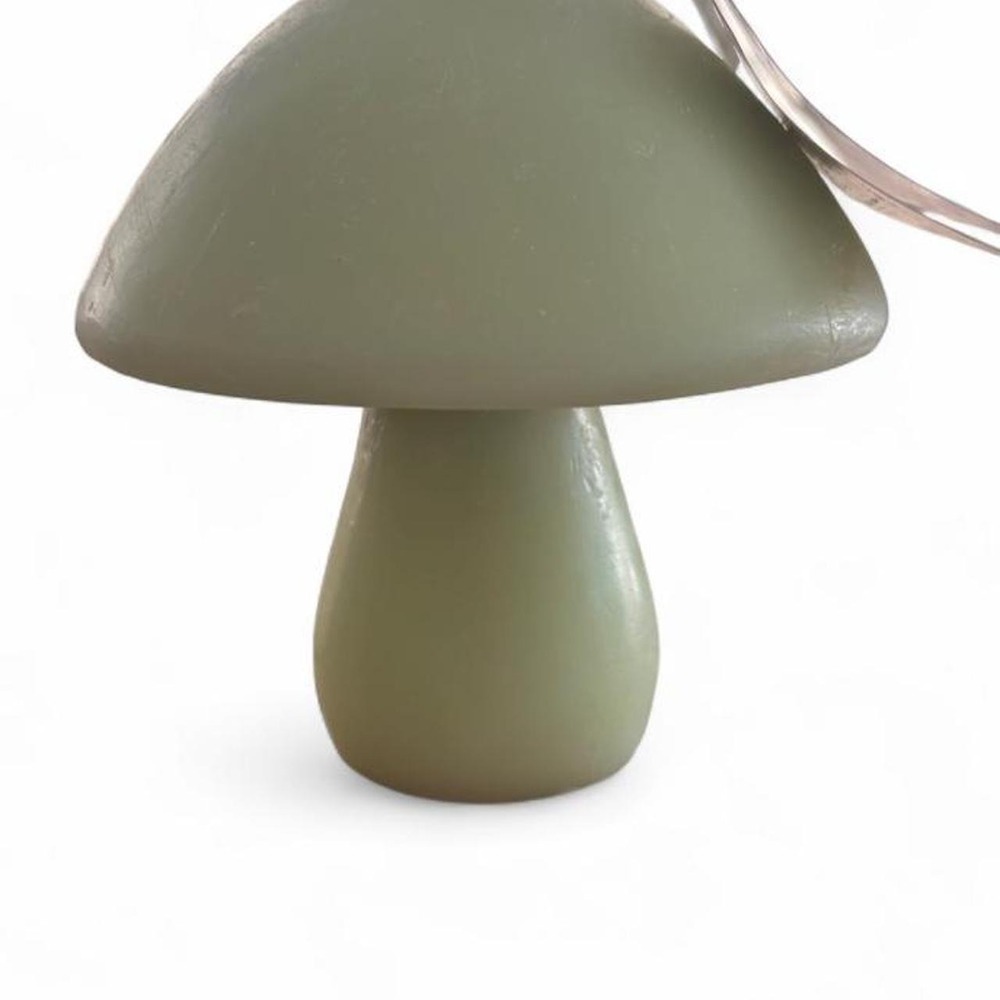 Place & Time Candle Co. green mushroom candle. Brand new with tags